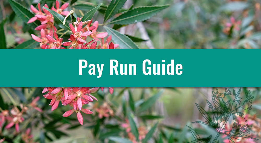 Xmas Pay Run Guide Blog Header